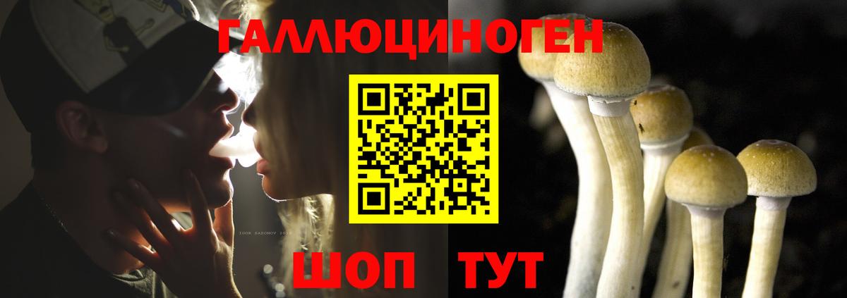 Галлюциногенные грибы ЛСД Лобня